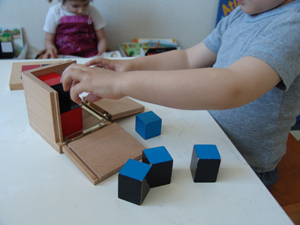 montessori in action